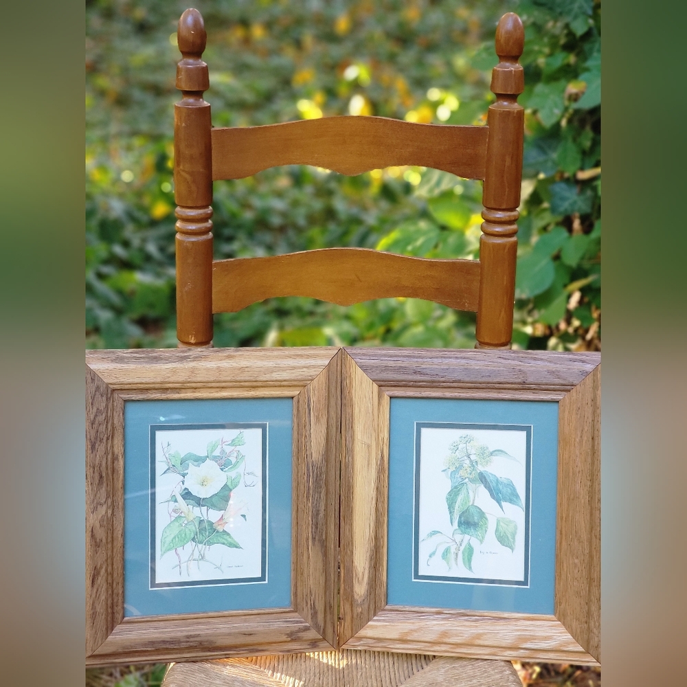 Vintage 1928 Margaret Thompson Rep Great Bindweed & Ivy in Flower Botanical Set